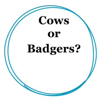 Cows
or
Badgers? 