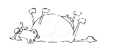 Cows